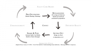 The Addictive System