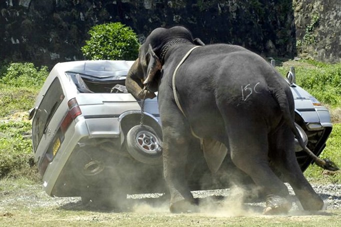 Allied with Anger: Responding to Anger the Right Way post image